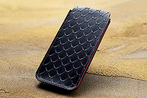 DSに夢中になる試乗キャンペーン