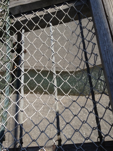 癒しの湯を求めて・・・（オチ付）