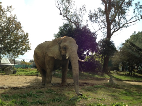 姫路セントラルパーク