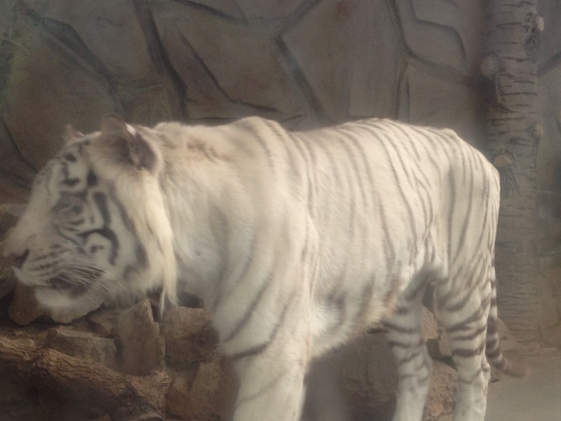 姫路セントラルパーク