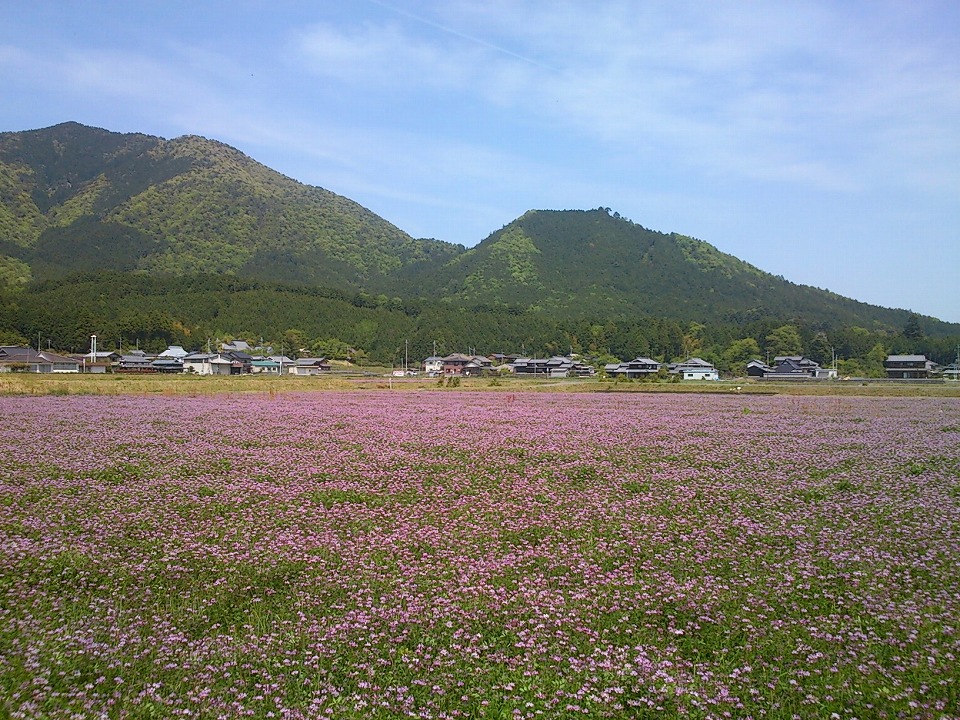 日本の中心で、肉をさけぶ
