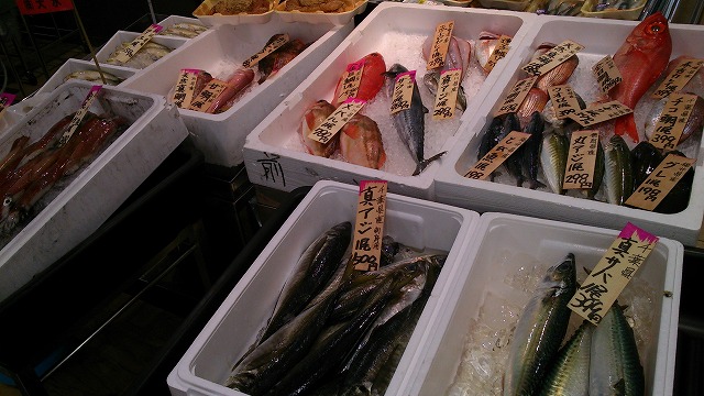 もはや高級魚？