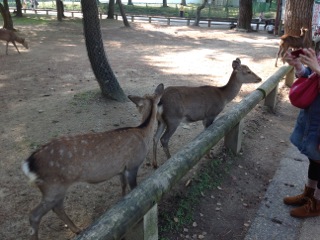 「奈良の旅」
