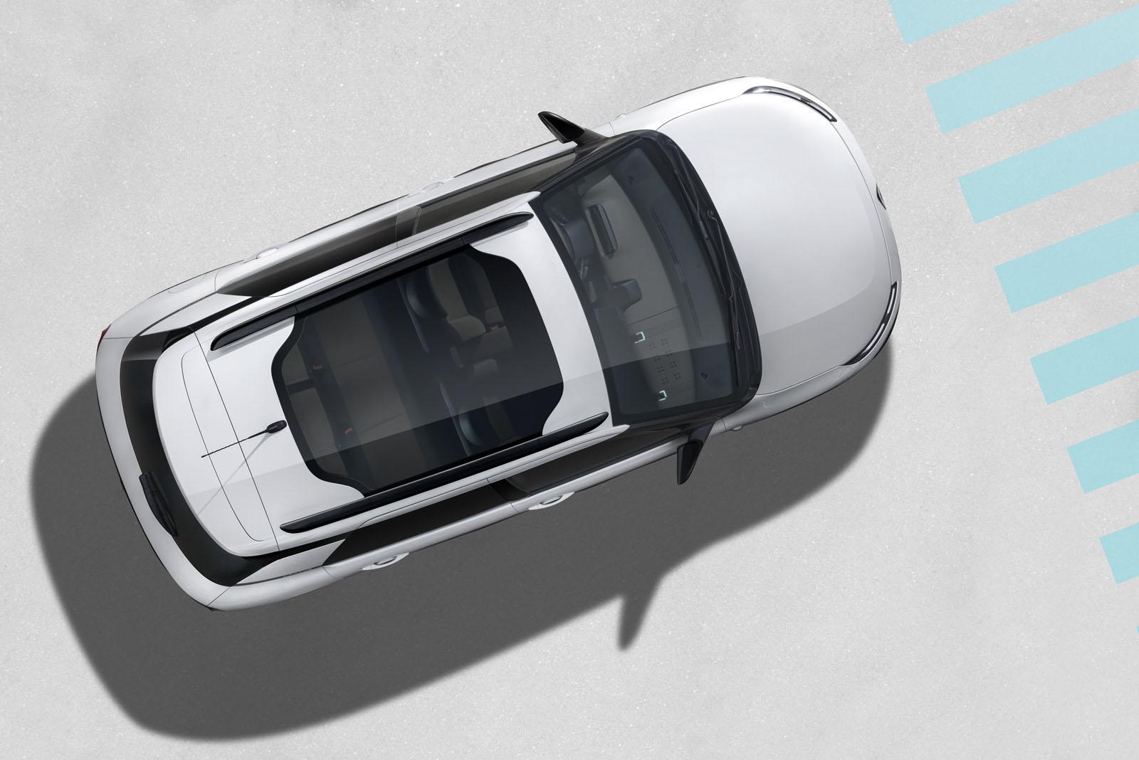 C4 Cactus Experts パノラミックルーフ編