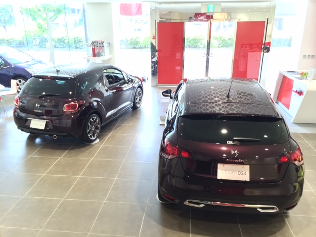 限定車！限定車！！