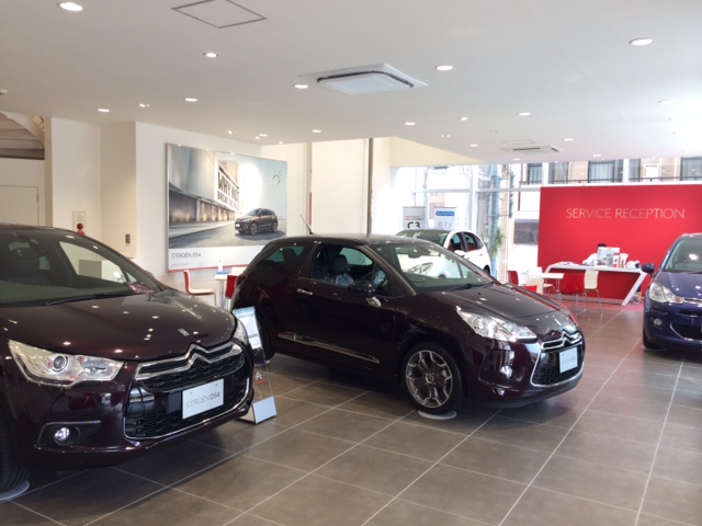 限定車！限定車！！