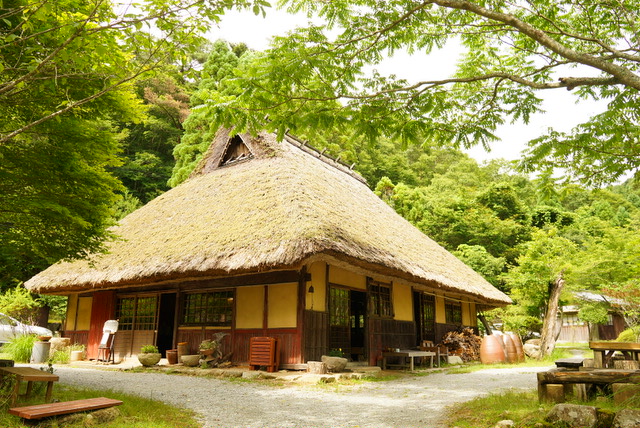 涼を求めて行ってきました。