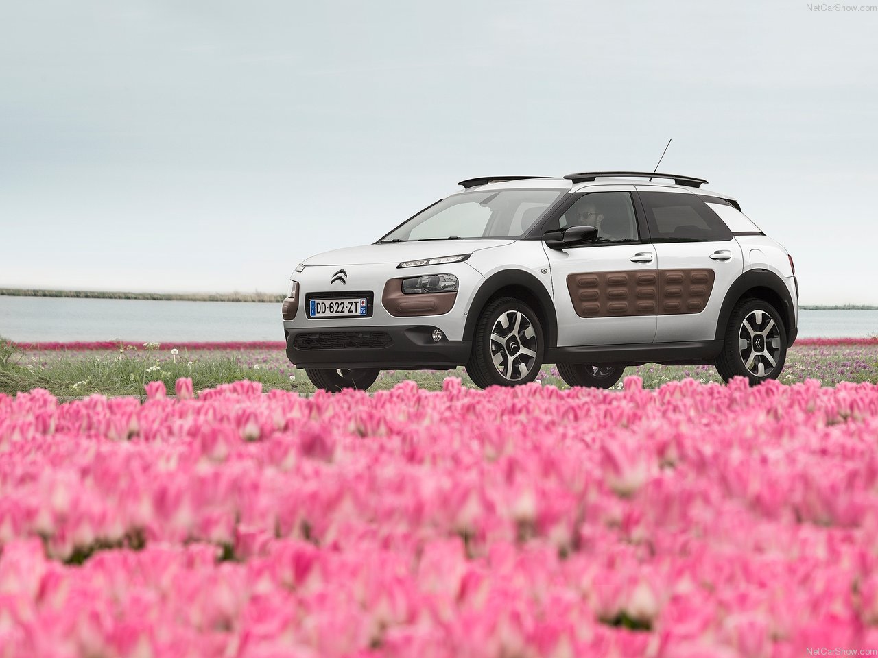 Ｃ４ ＣＡＣＴＵＳ　ＵＫ版　コンフィギュレーター