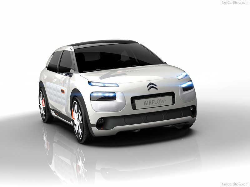 Discover C4 Cactus AirFlow 2L