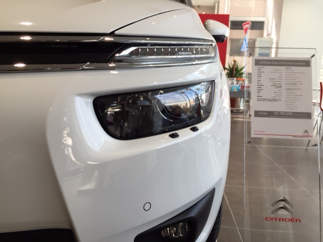 Ｃ４ピカソ　全モデル展示中！