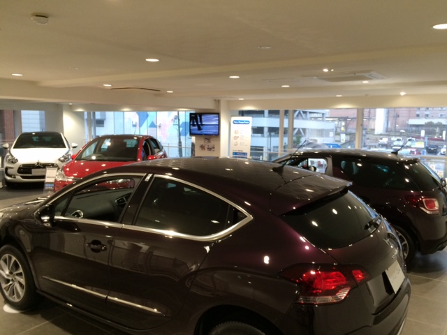 今週末の展示車