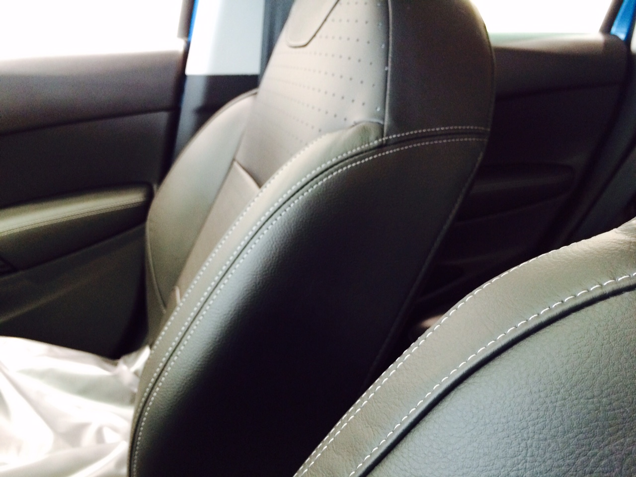 C3レザー　エディション　キシミのオススメ