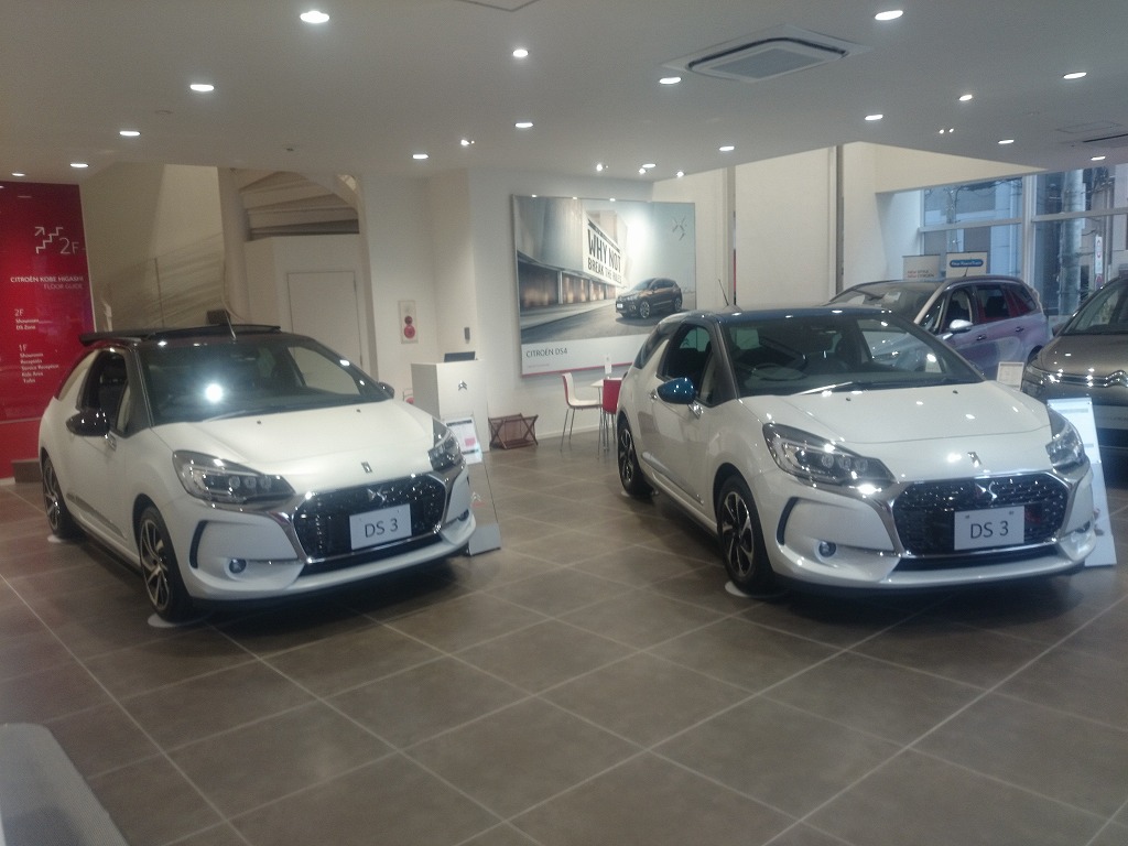 本日ショールーム営業しております