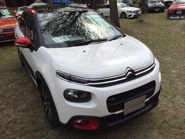 輸入車ショー！