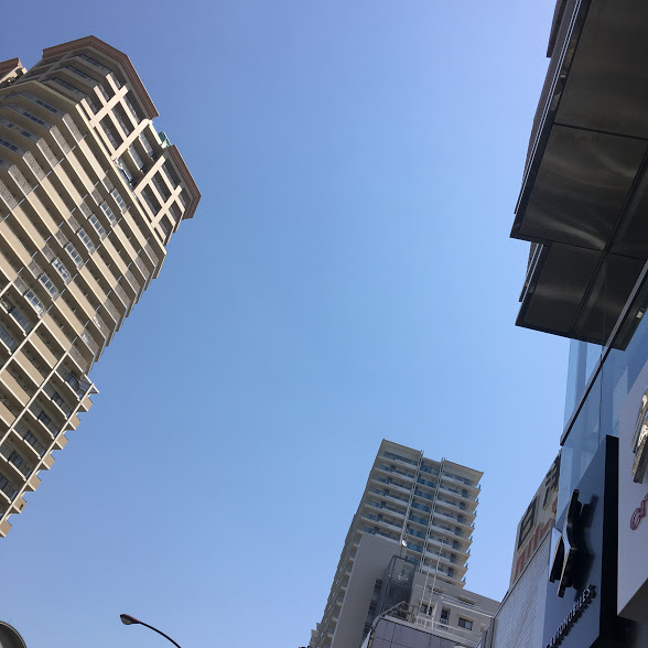 １日、２日は休業しております。