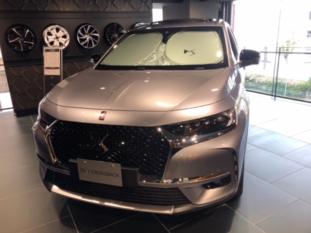 ＤＳ　ウィンターアクセサリー