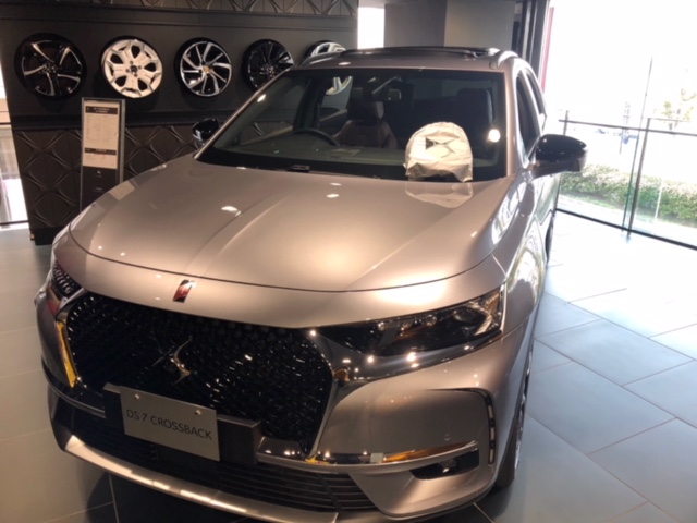 ＤＳ　ウィンターアクセサリー