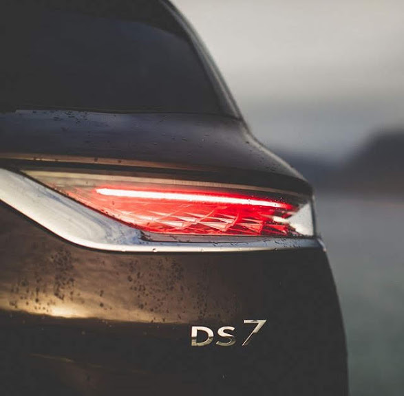 ＤＳ　５月最終末商談会！