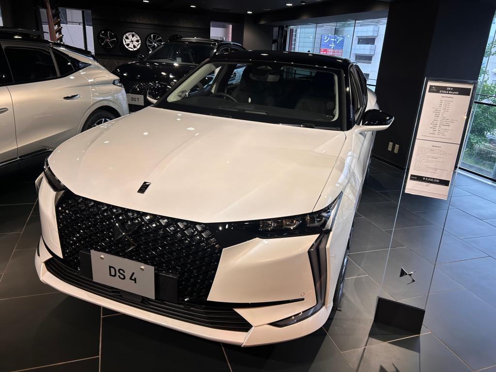 DS CLEAN DIESEL FAIR