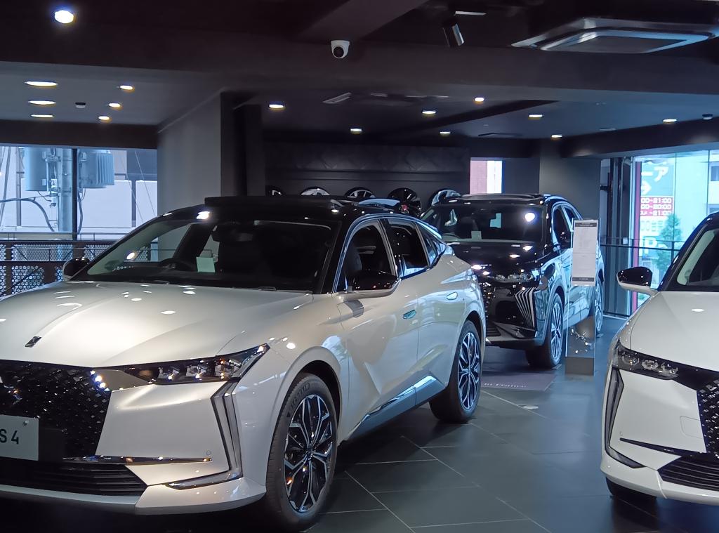 6月は特選車をご用意しております。