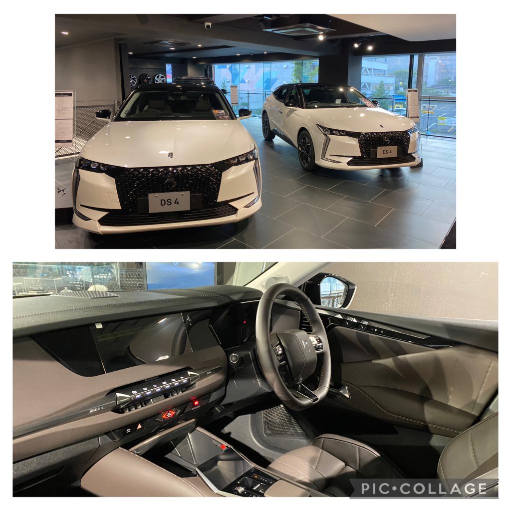 8月決算イベント最終日となります。