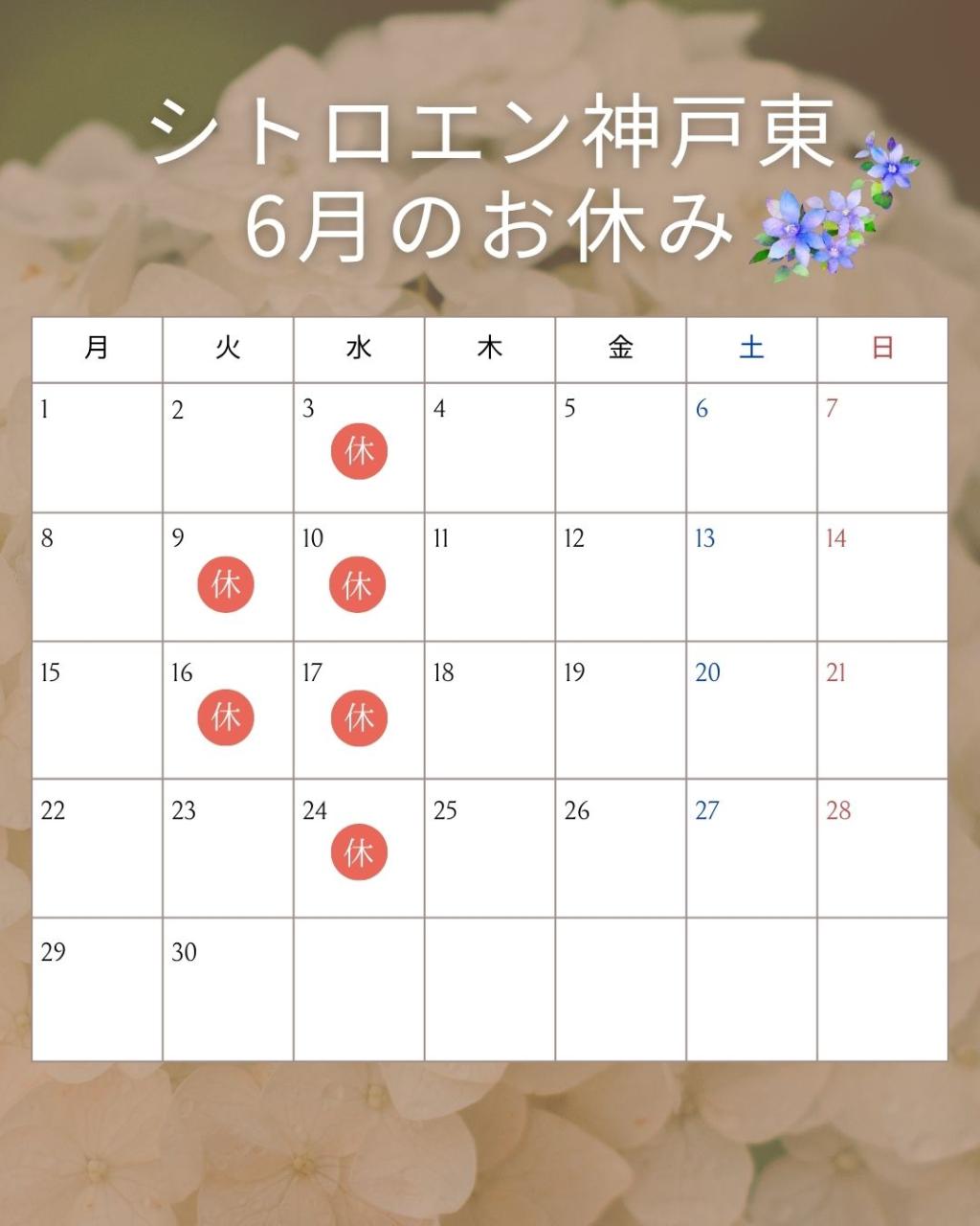 6月のお休みのお知らせ🚗