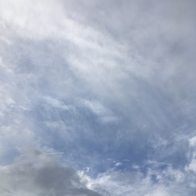 台風20号