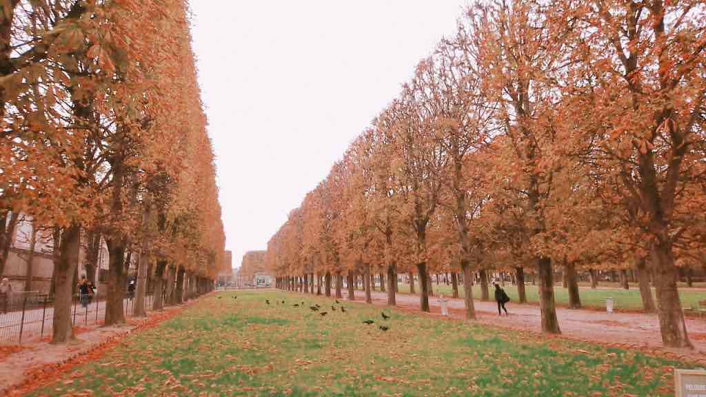 パリの紅葉