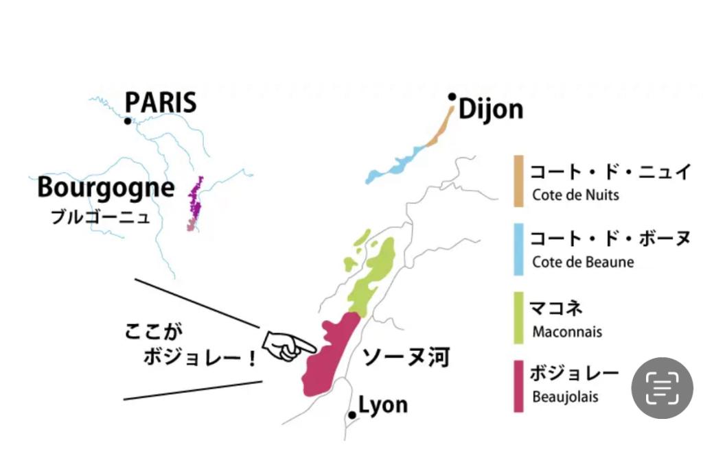 BEAUJOLAIS NOUVEAU解禁